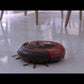 Aspirador Robô Fast Clean Mondial Rb01 Preto e Vermelho
