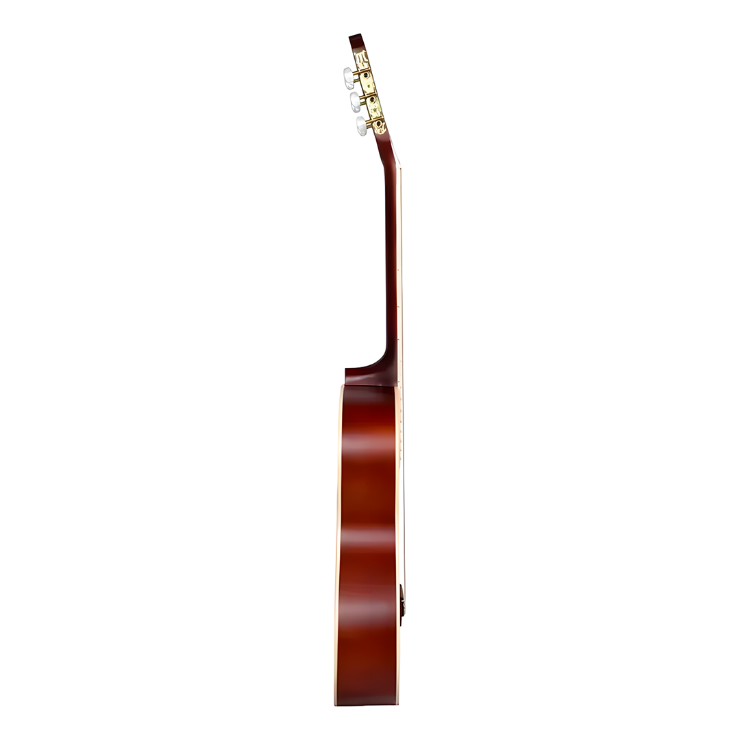 Violão Classico Acustico Nylon Ton Tonante TN39NB Inciante