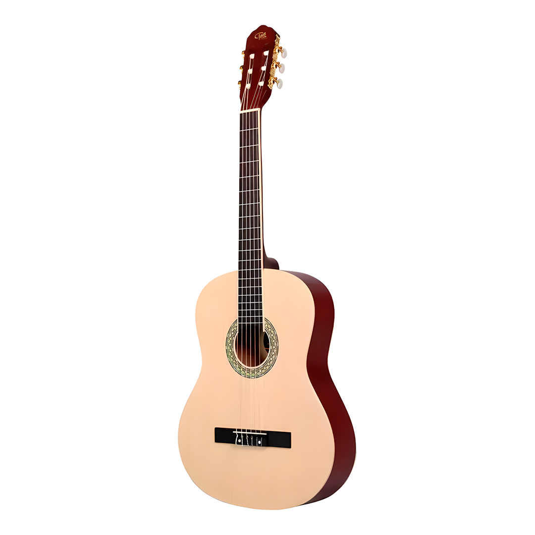 Violão Classico Acustico Nylon Ton TN39NB Inciante